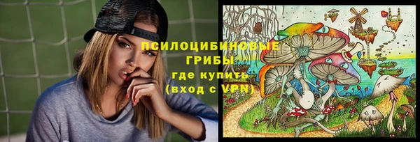 шишки Бугульма